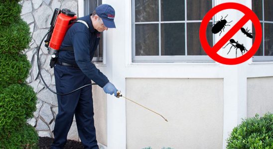 Çaldıran Fare İlaçlama böcek ilaçlama ve haşere kontrolü — ilaclama-tr.com